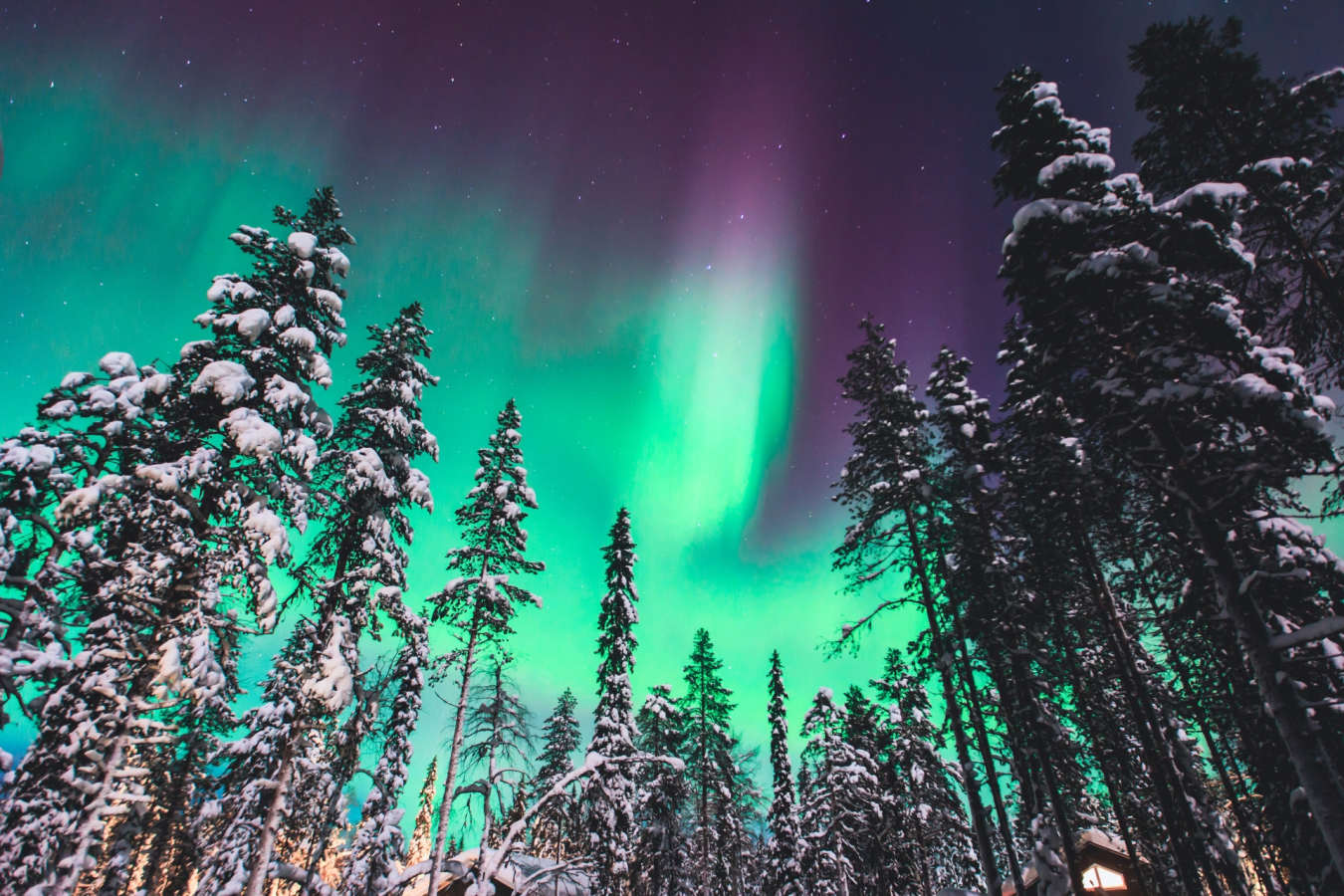 Northern Lights - Swedish Lapland for families