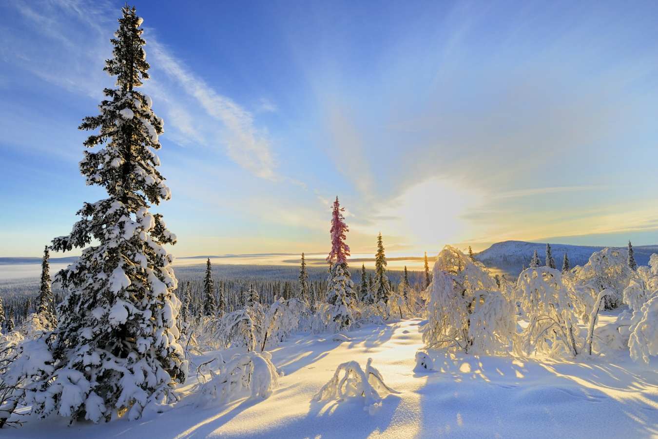 Lapland