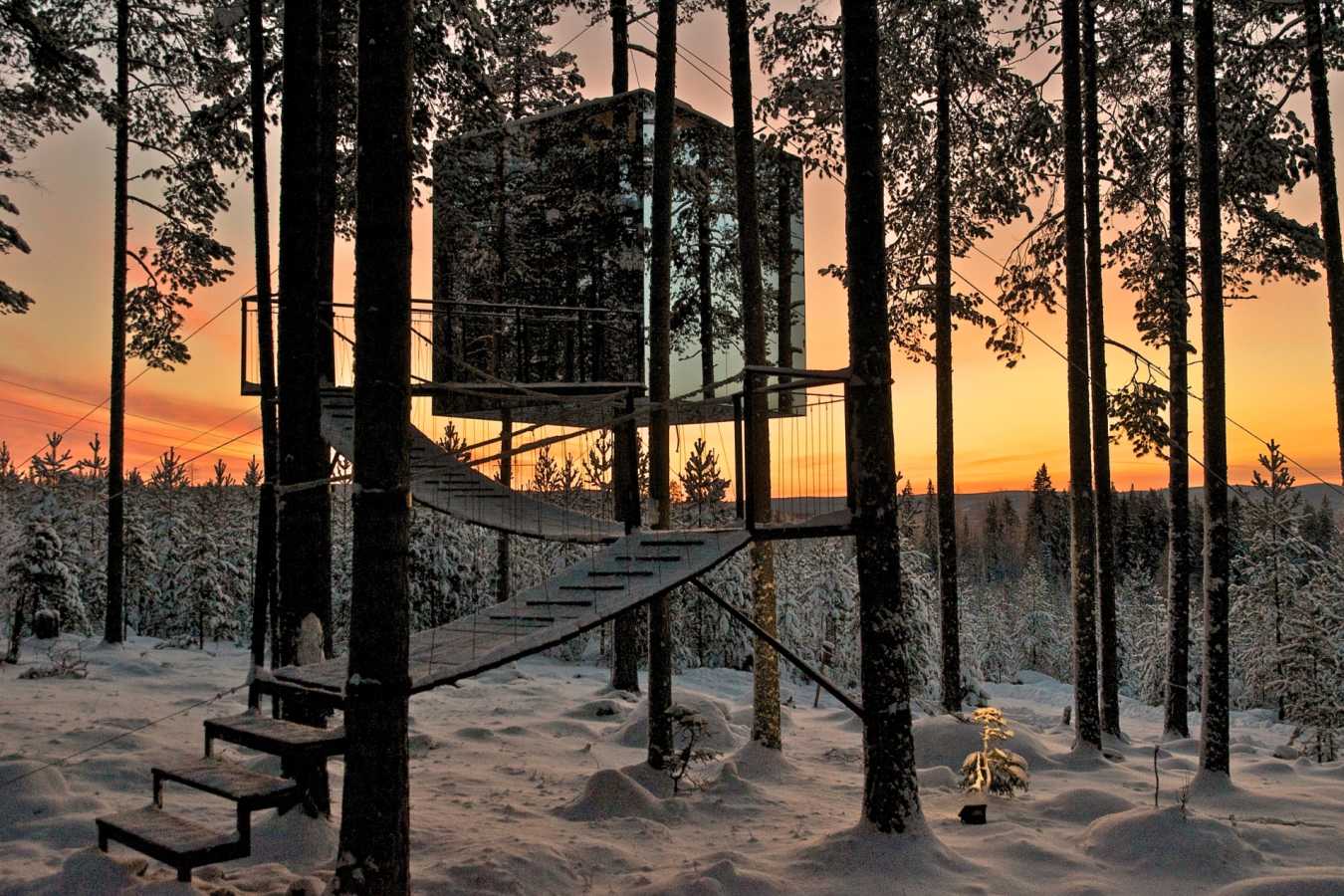 The Treehotel