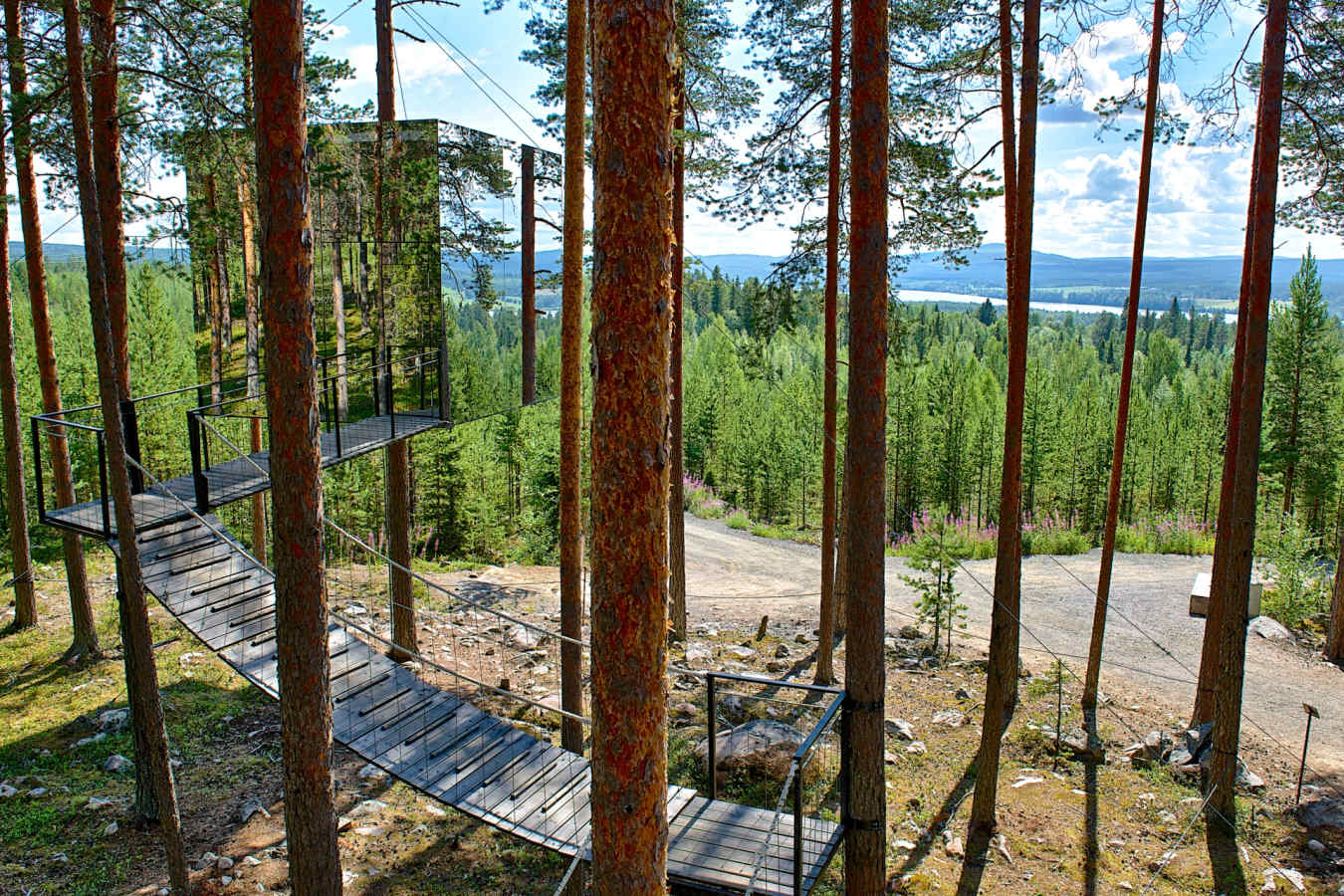 Scenery surrounding the Treehotel