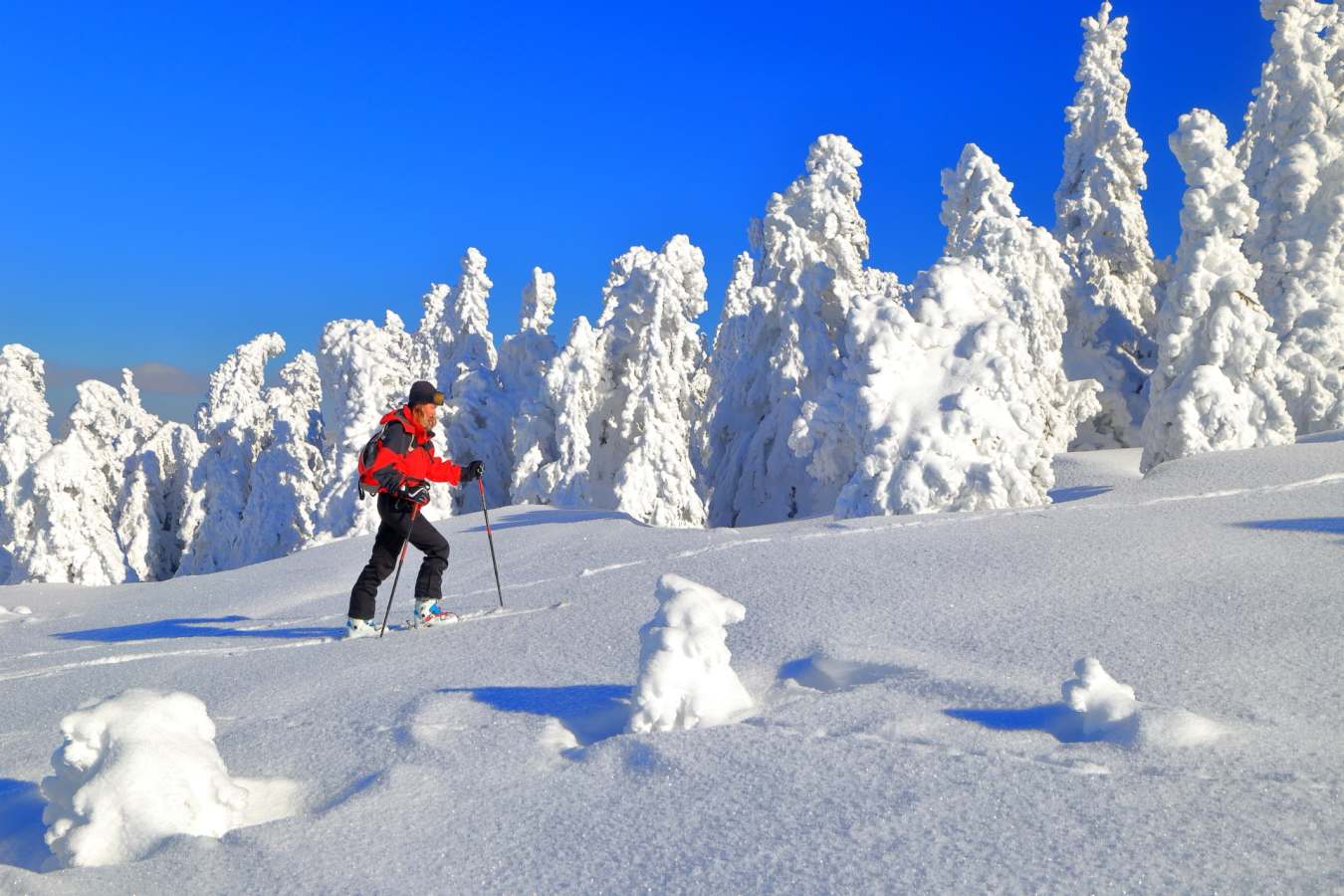 Snowshoeing