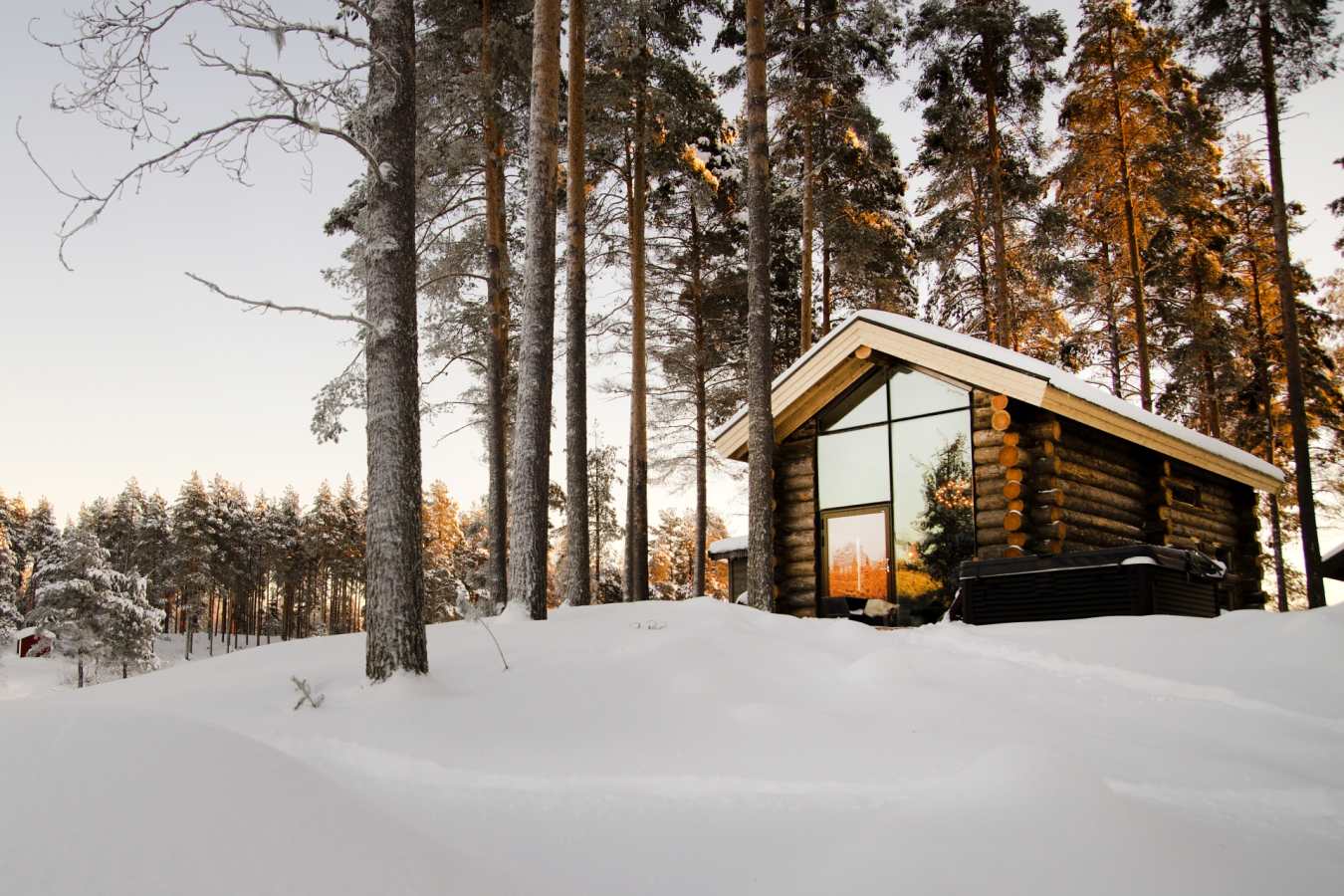Arctic Retreat
