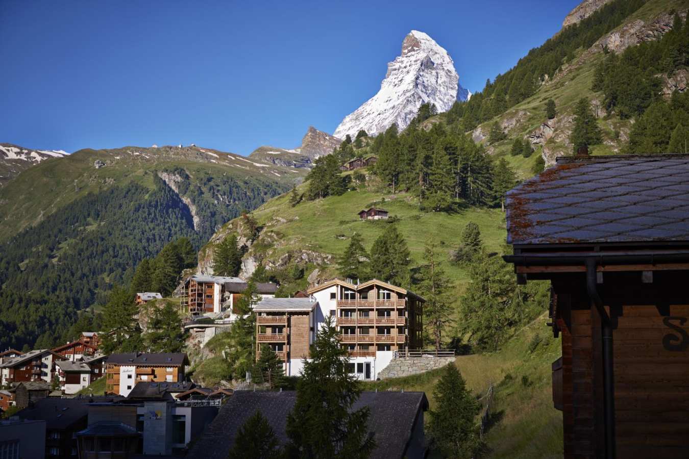 View in the summer - La Vue
