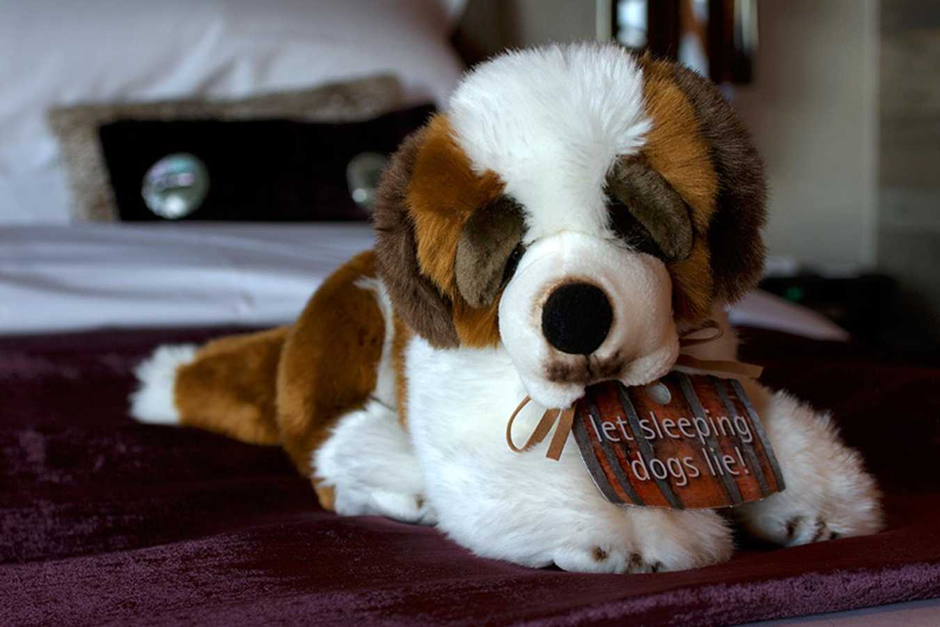 St Bernard - The Lodge Verbier