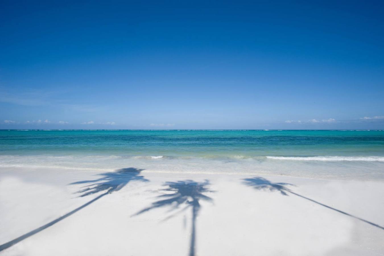 Beach - Baraza