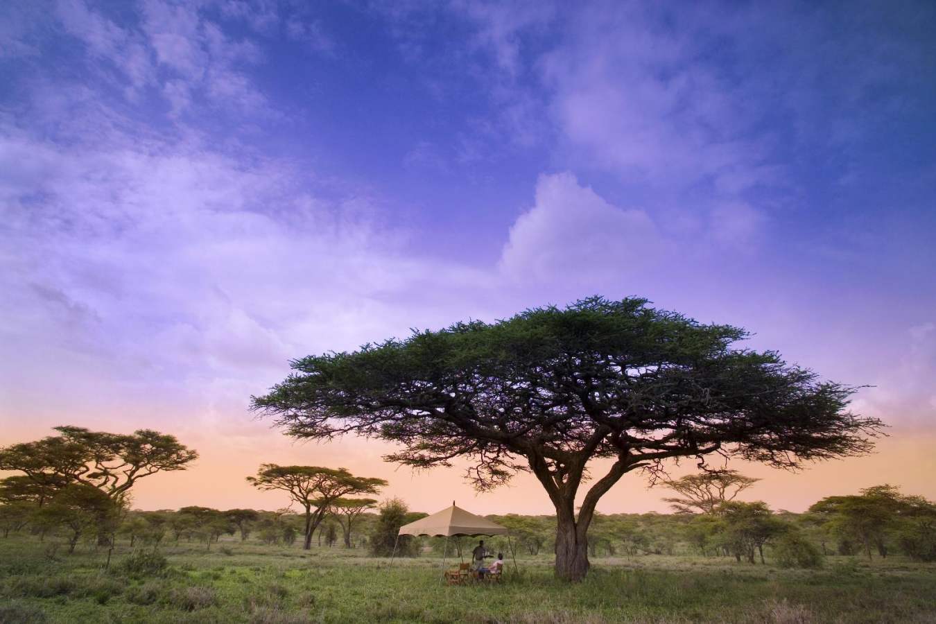 Camp at Sunset - Serengeti Under Canvas