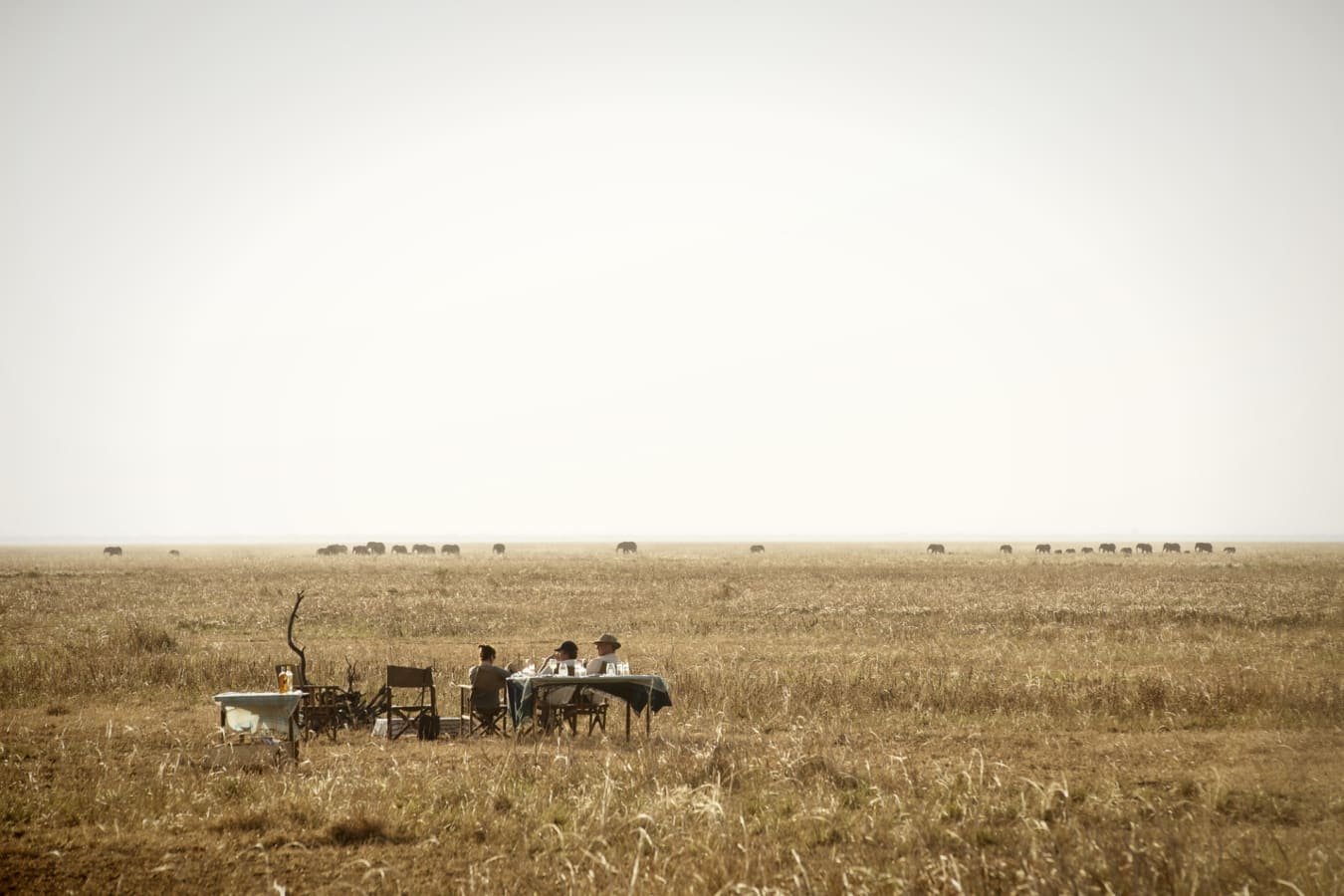 Bush dinner