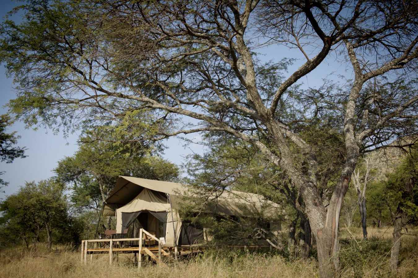 Tent exterior - Dunia Camp