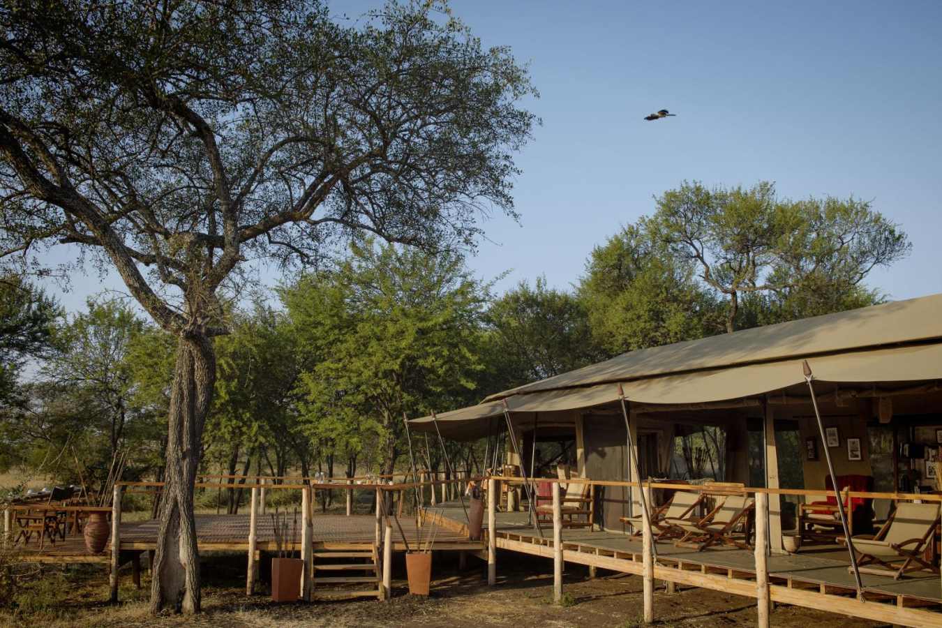 Mess tent and deck - Dunia Camp