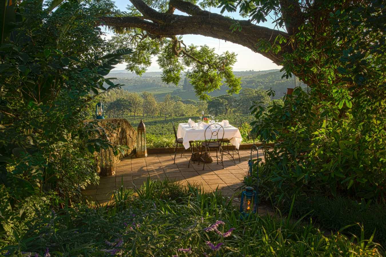 Dining at Gibbs Farm