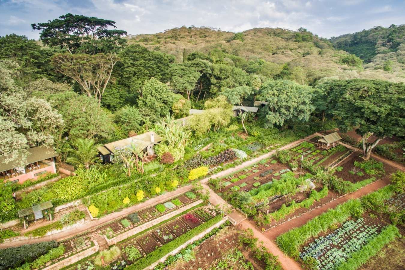 The gardens at Gibbs Farm