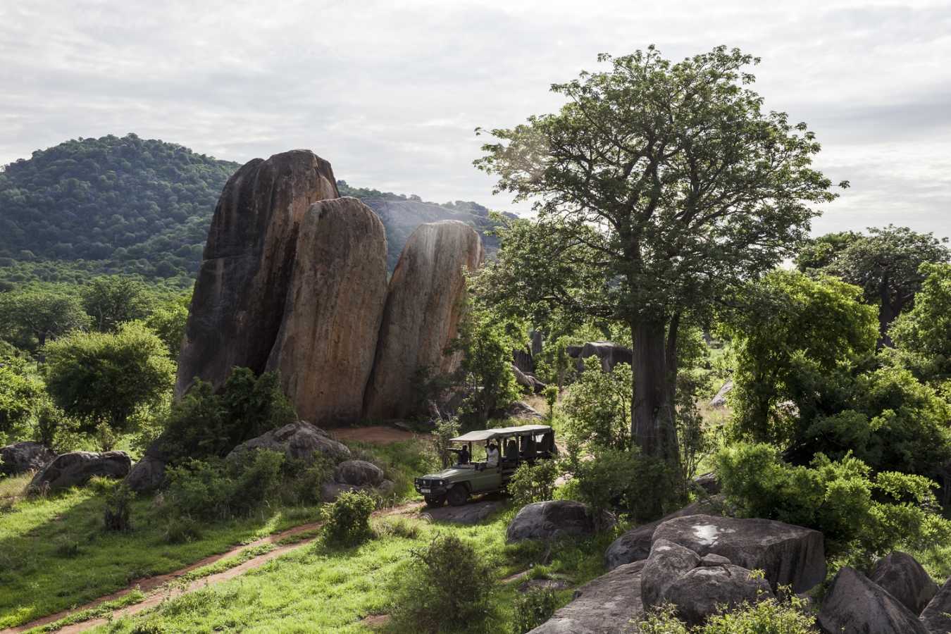 Game drive - Jabali Ridge