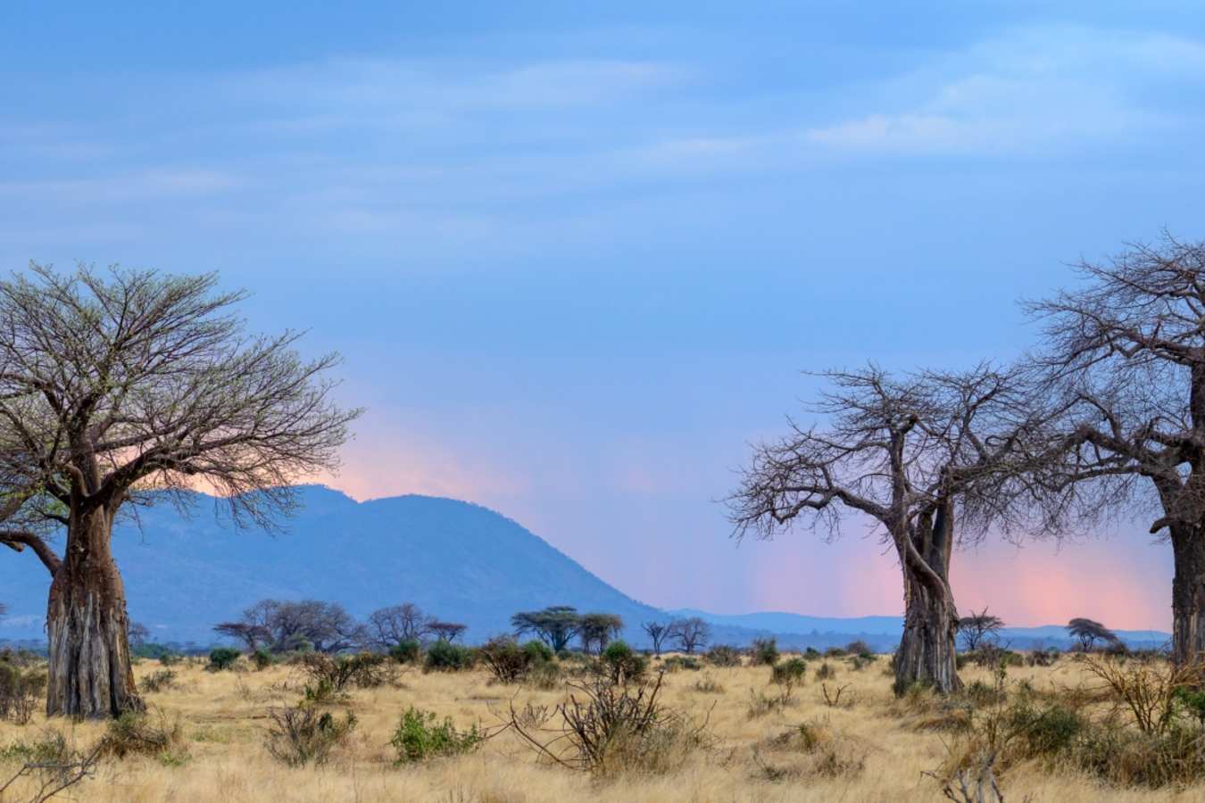 Typical Ruaha landscape - Jabali Ridge