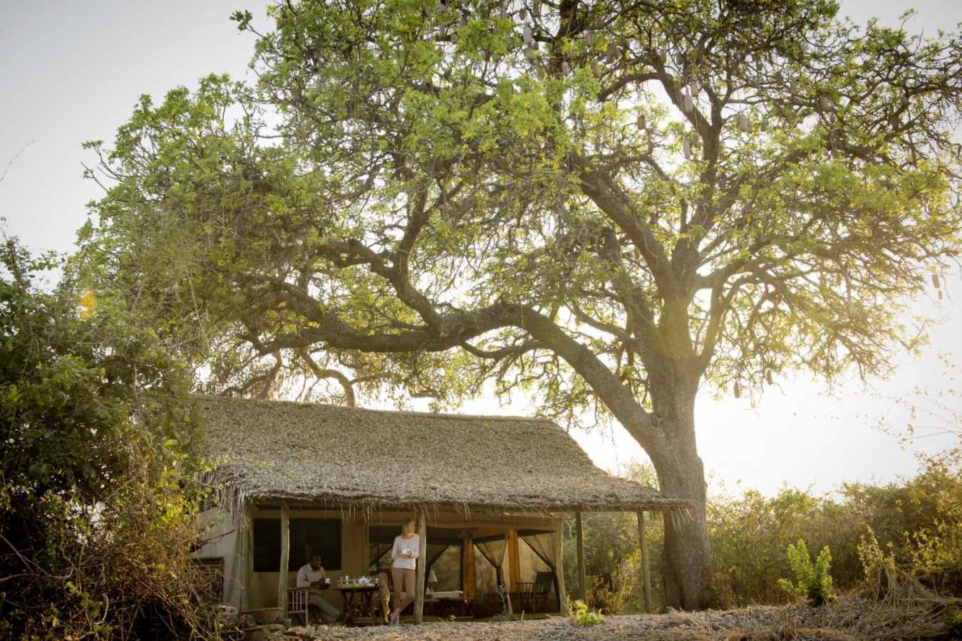 Temt exterior - Kigelia Ruaha