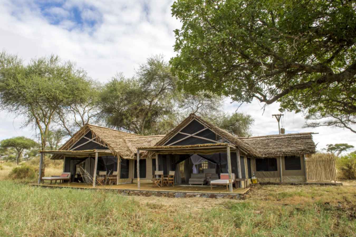Family Tent  - Kuro Tarangire