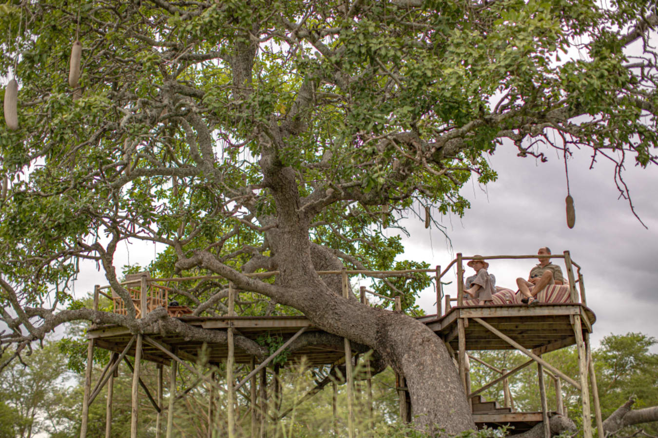 Treehouse lookout