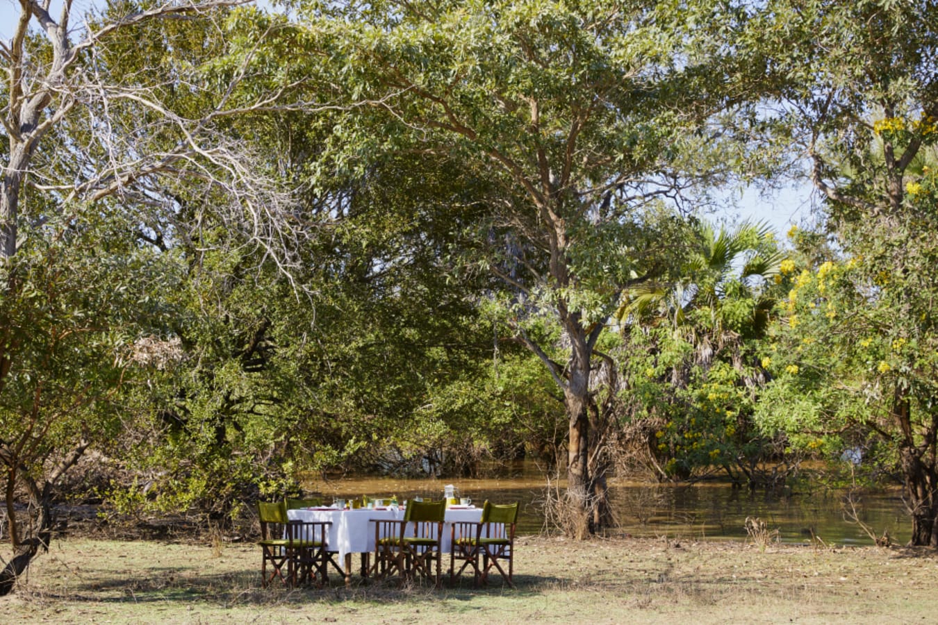 Lunch under the trees