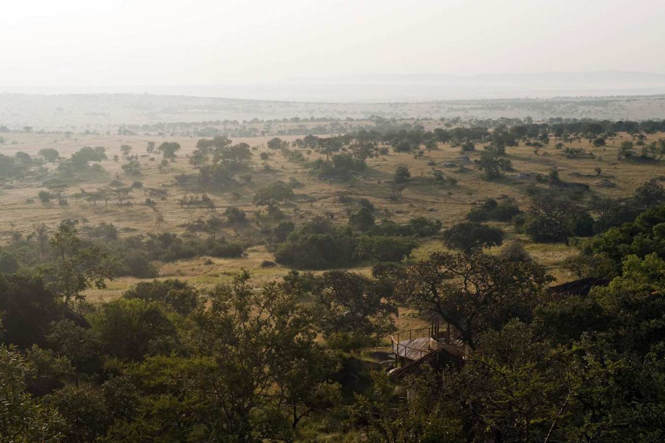The endless view - Lamai Serengeti