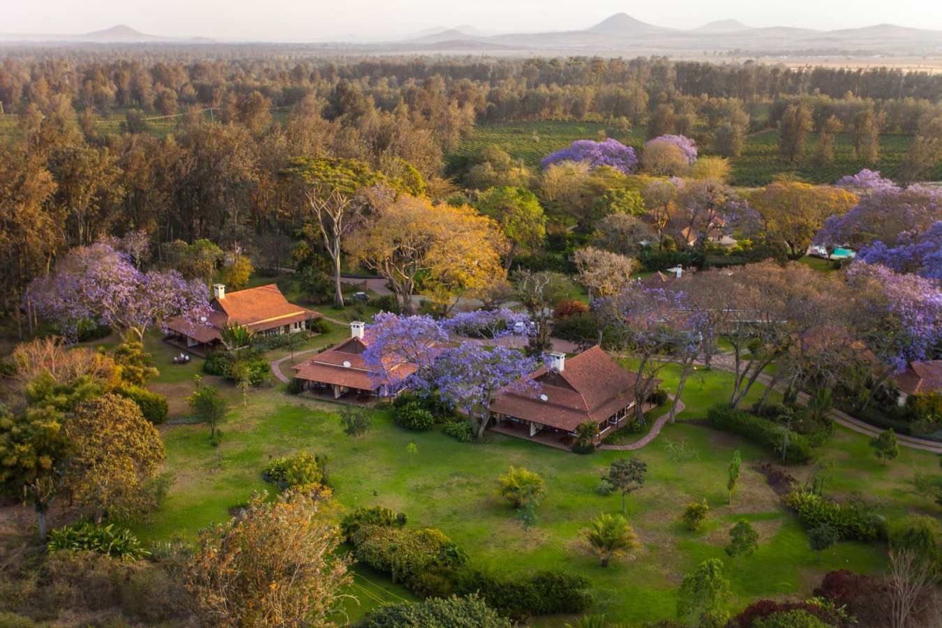 Aerial view - Legendary Lodge