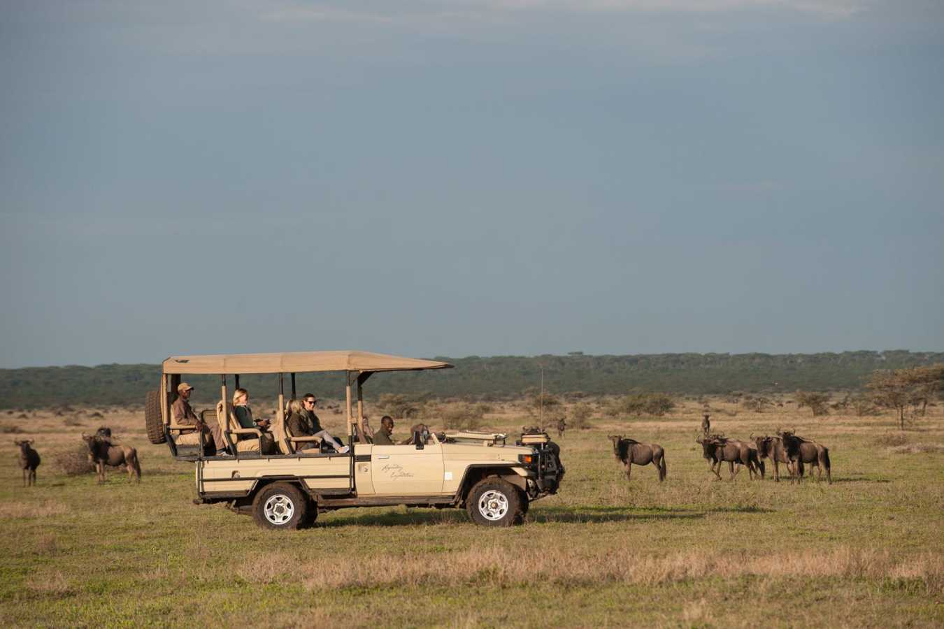 Game Drive - Mwiba River Lodge
