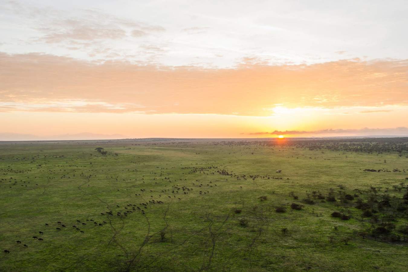 Serengeti - Mwiba River Lodge