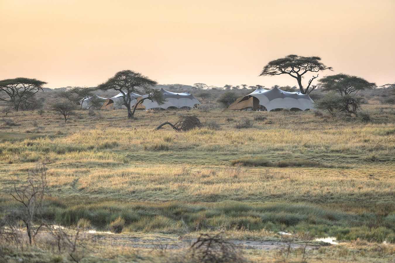 Camp overview Namiri Plains