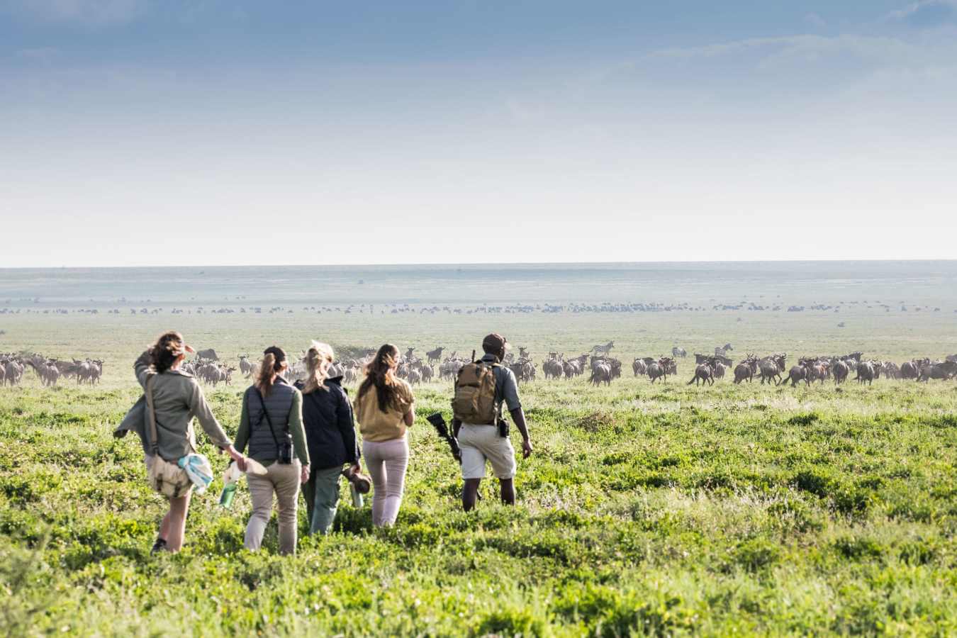 Nyasi walking safari