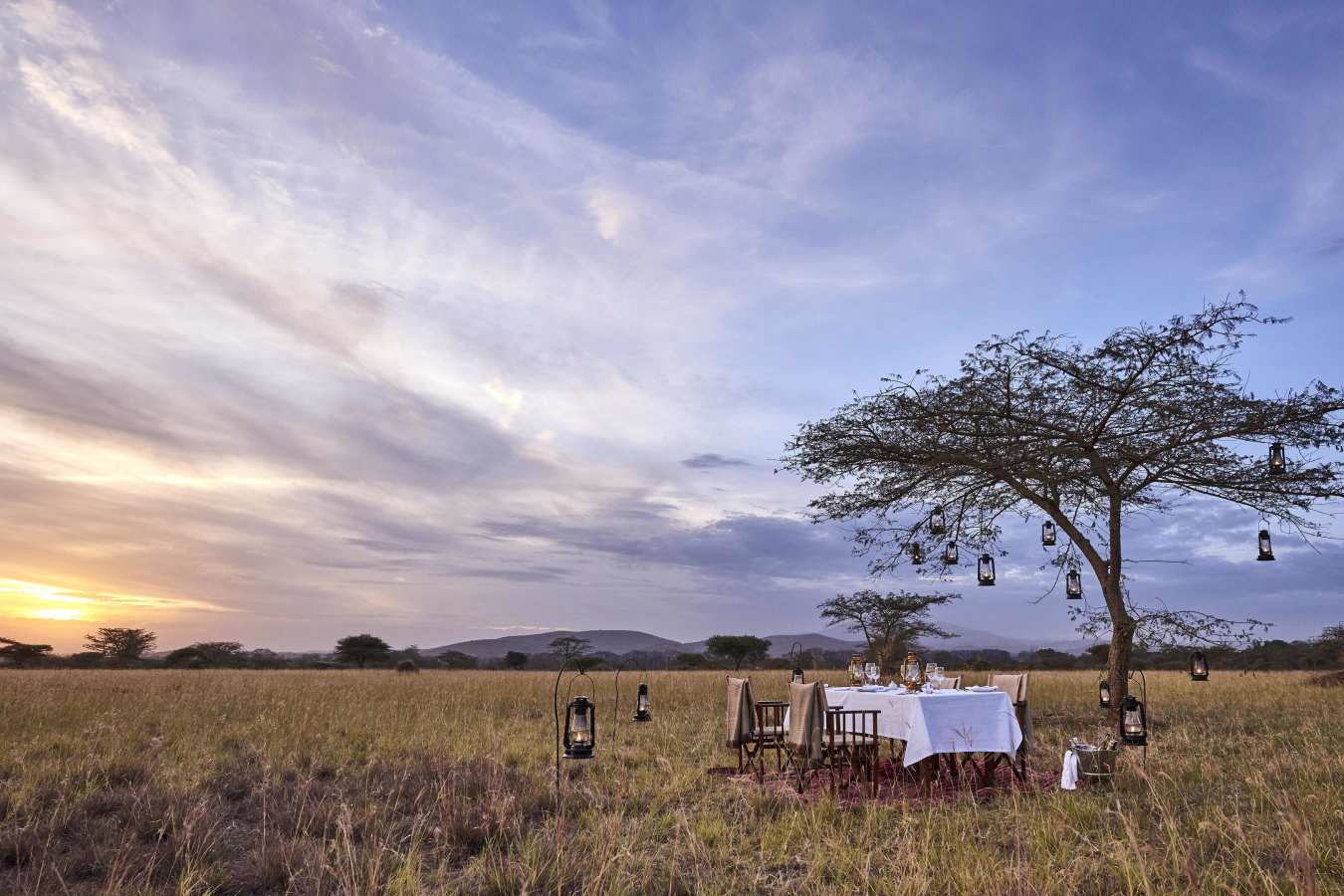 Nyasi bush dinner