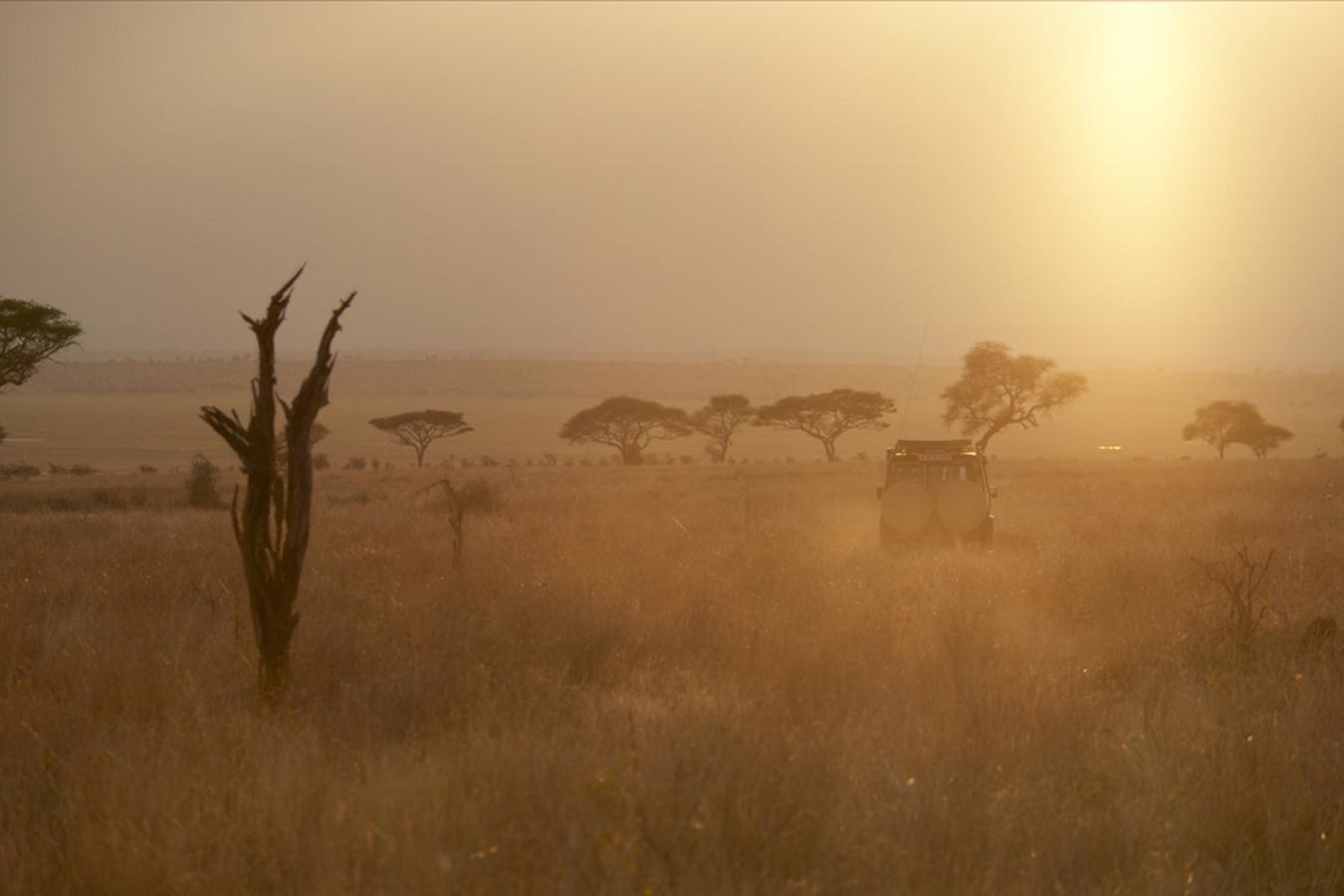 Tarangire Park - Oliver's Camp
