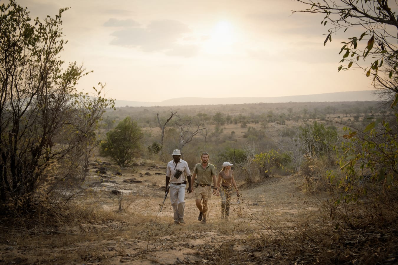 Safari walk