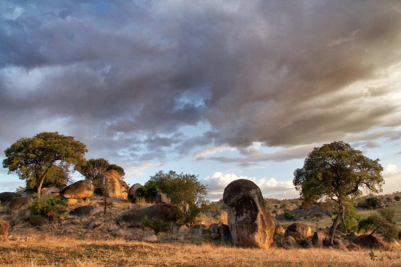 Serengeti - Serian's Serengeti North Camp
