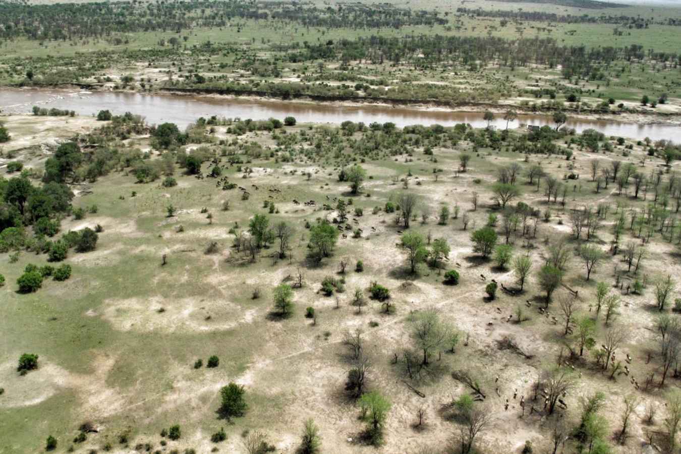 Serengeti - Serian's Serengeti North Camp