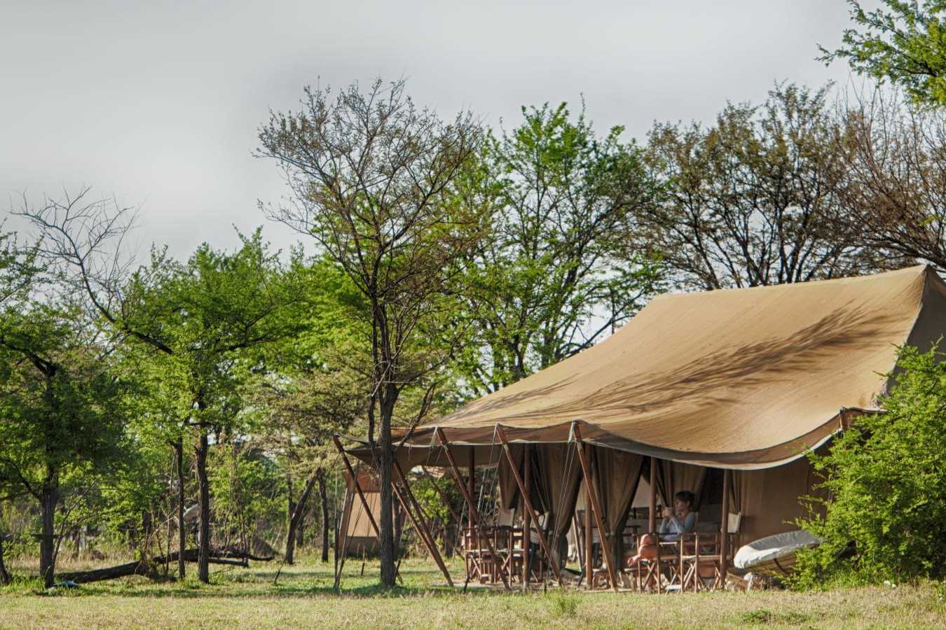 Camp - Serian's Serengeti North Camp