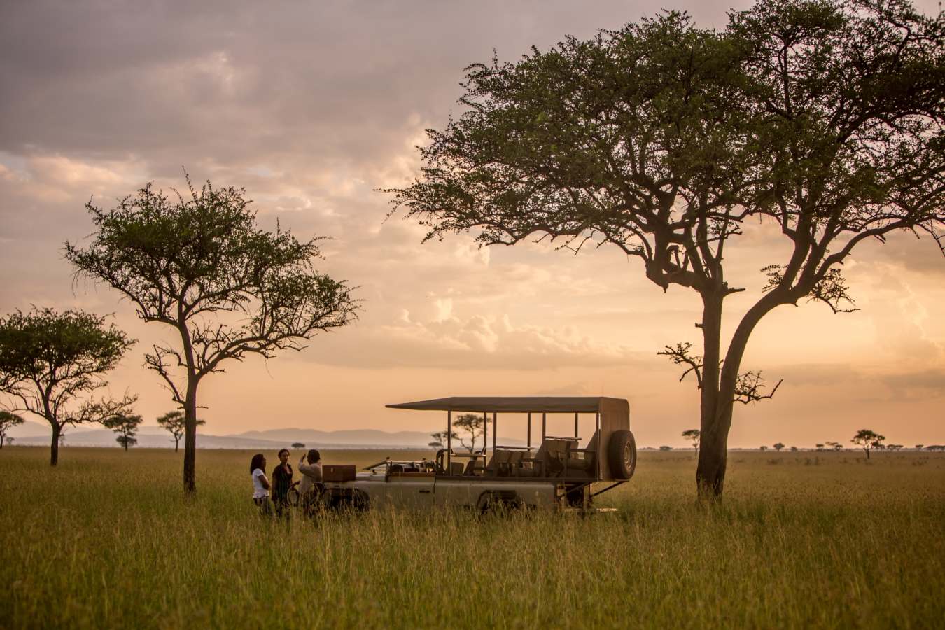 Game drives in Singita