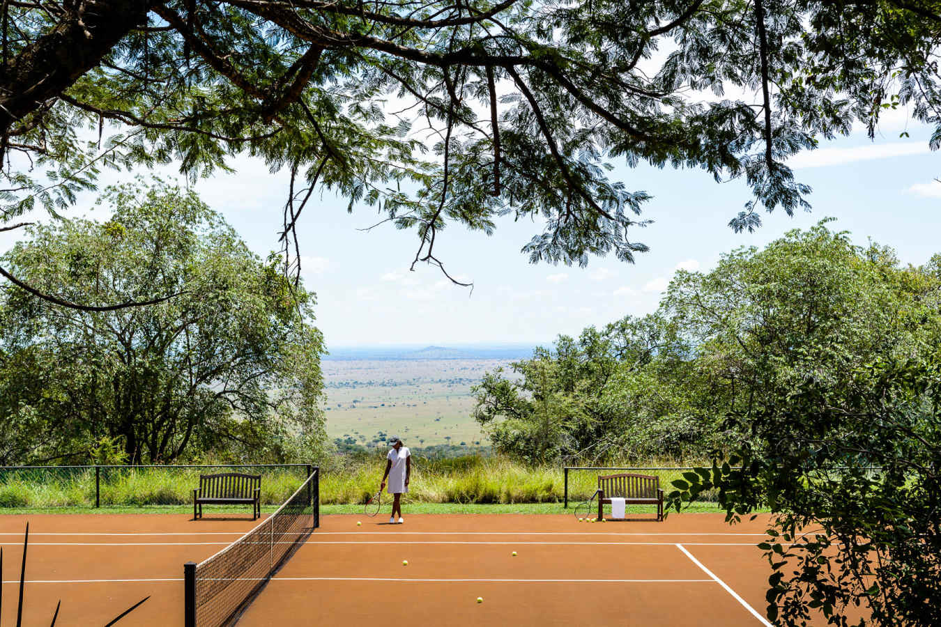 Wild Tennis 