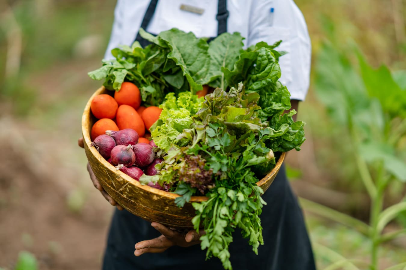 Farm to Fork 