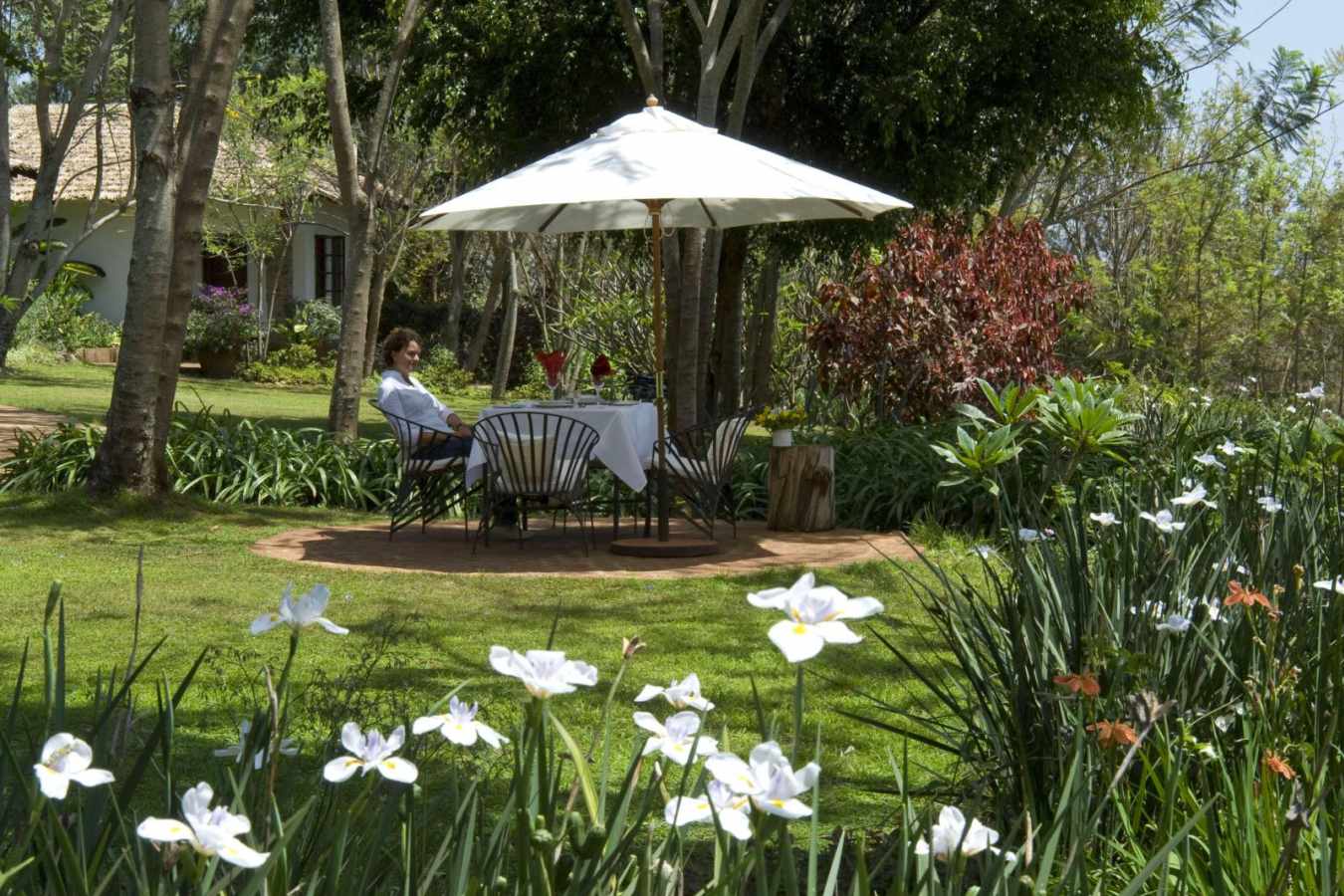 Garden - The Plantation Lodge