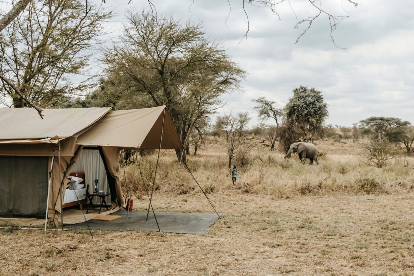 Camp Tent