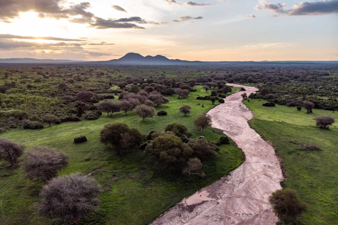 Ruaha National Park