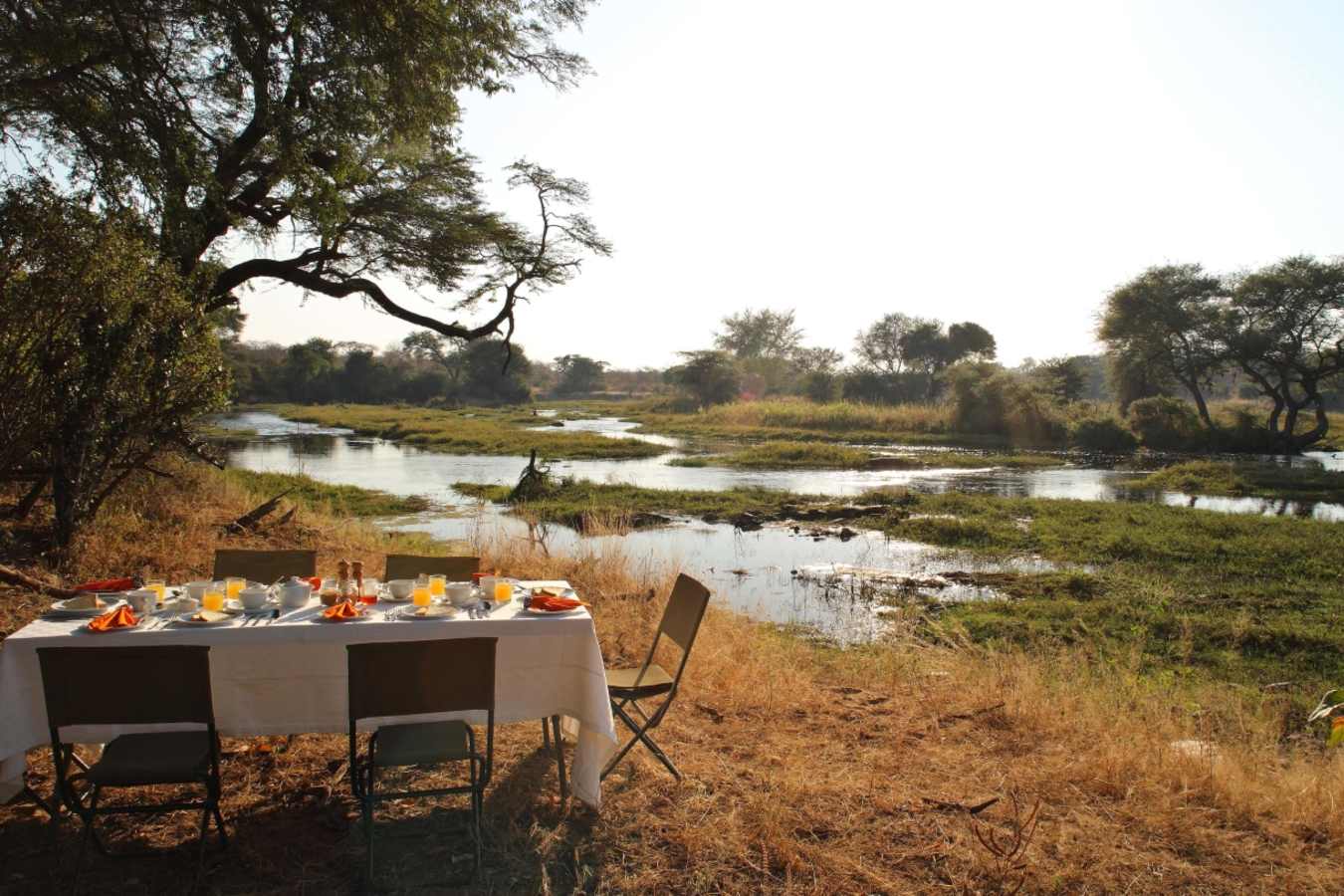 Bush Breakfast at Jongomero