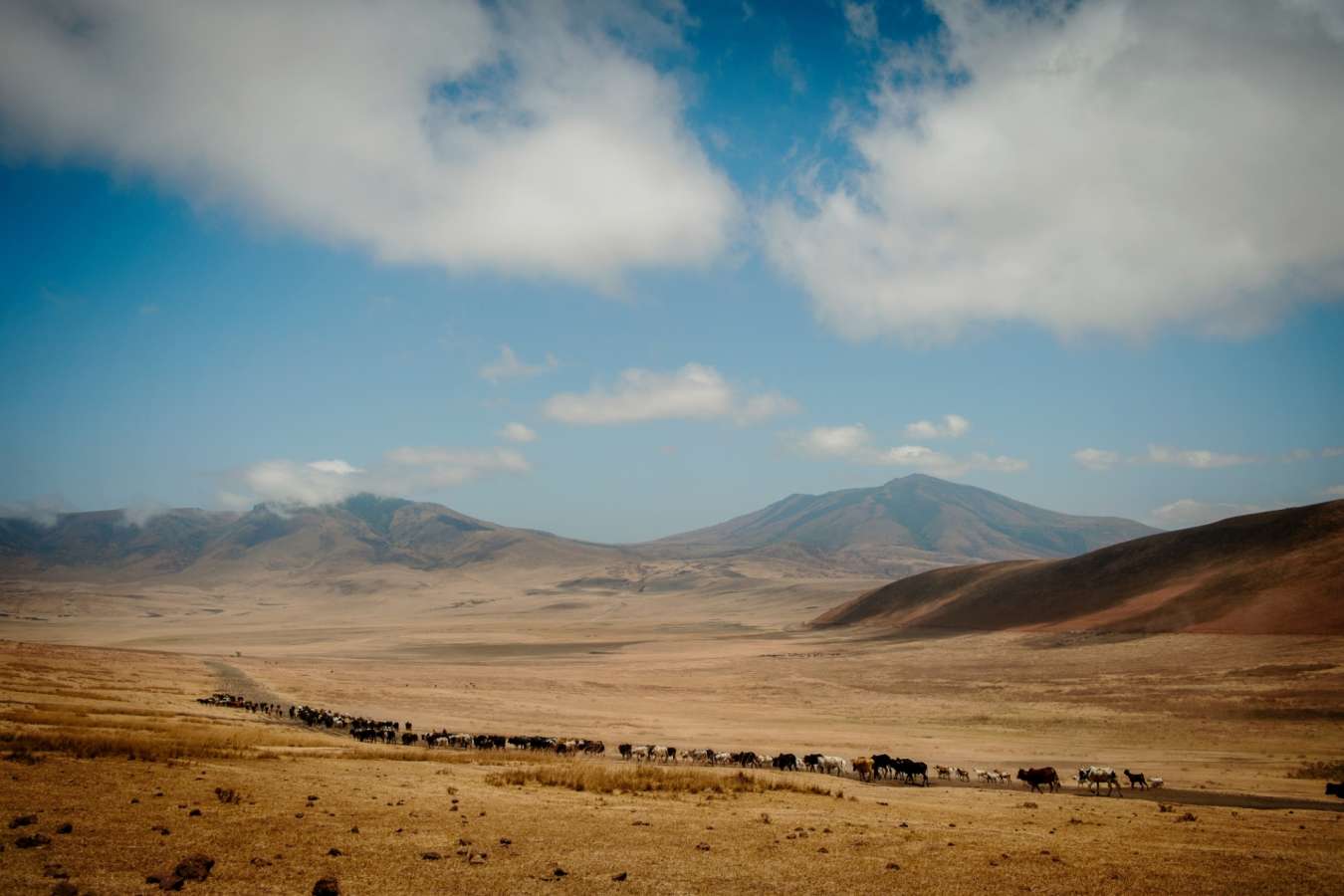 Ngorongoro Crater