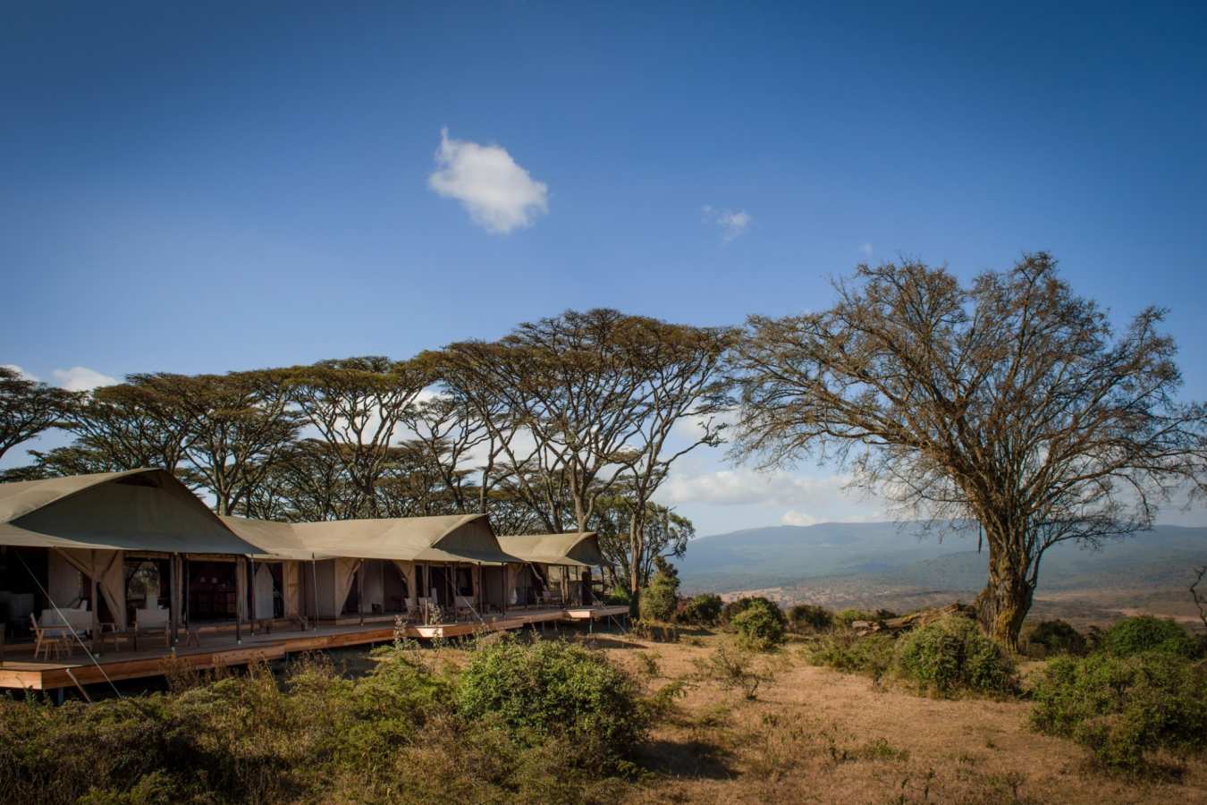 Highlights of Northern Tanzania