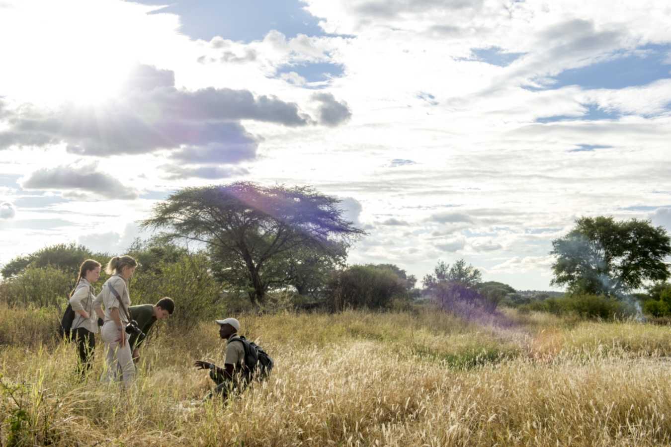 Walking Safari Tarangire