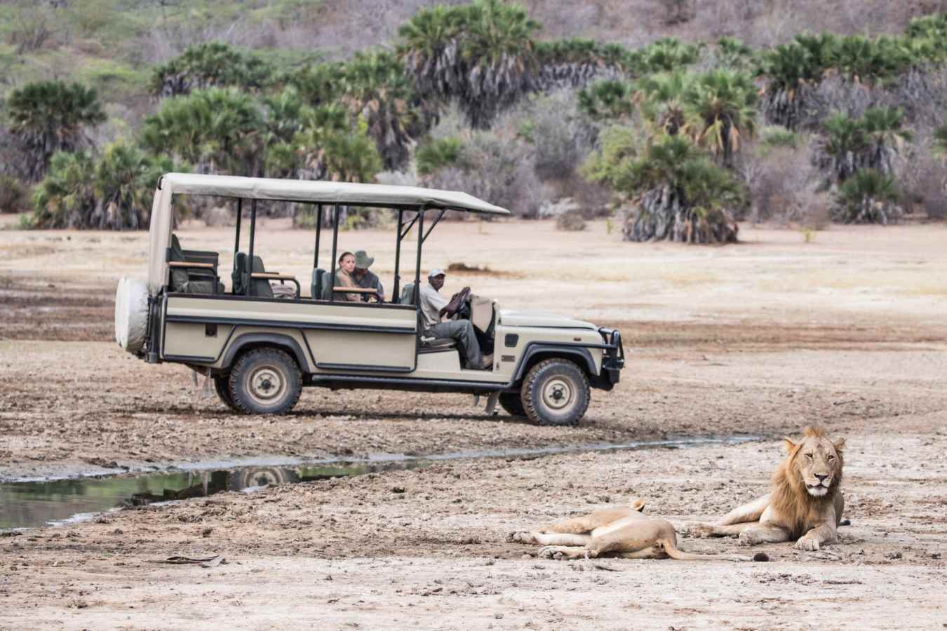 Game drives in the Selous