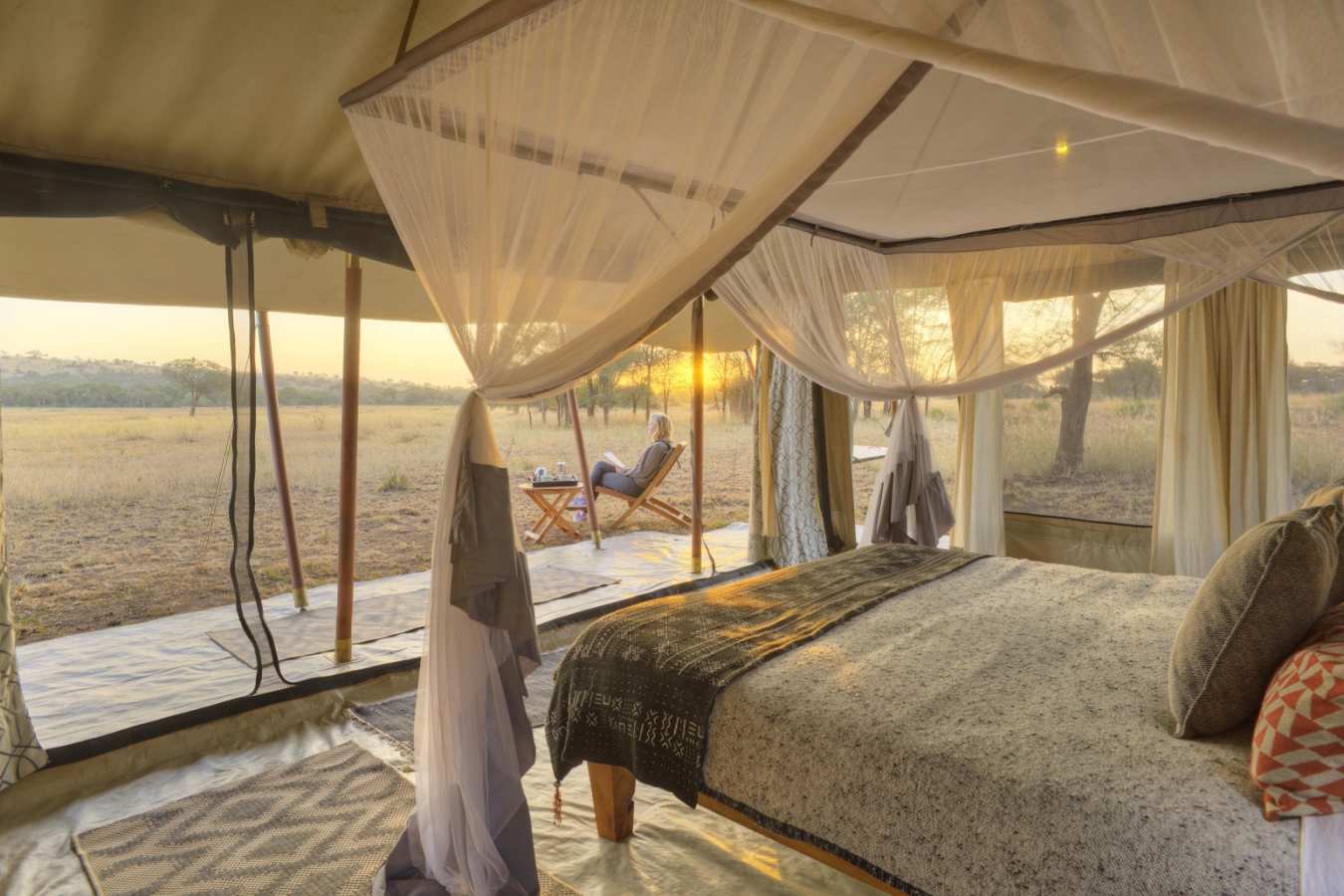 Safari camp set up 