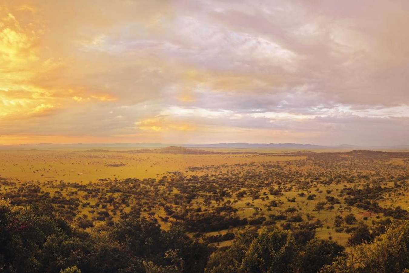 Sunrise over The Serengeti