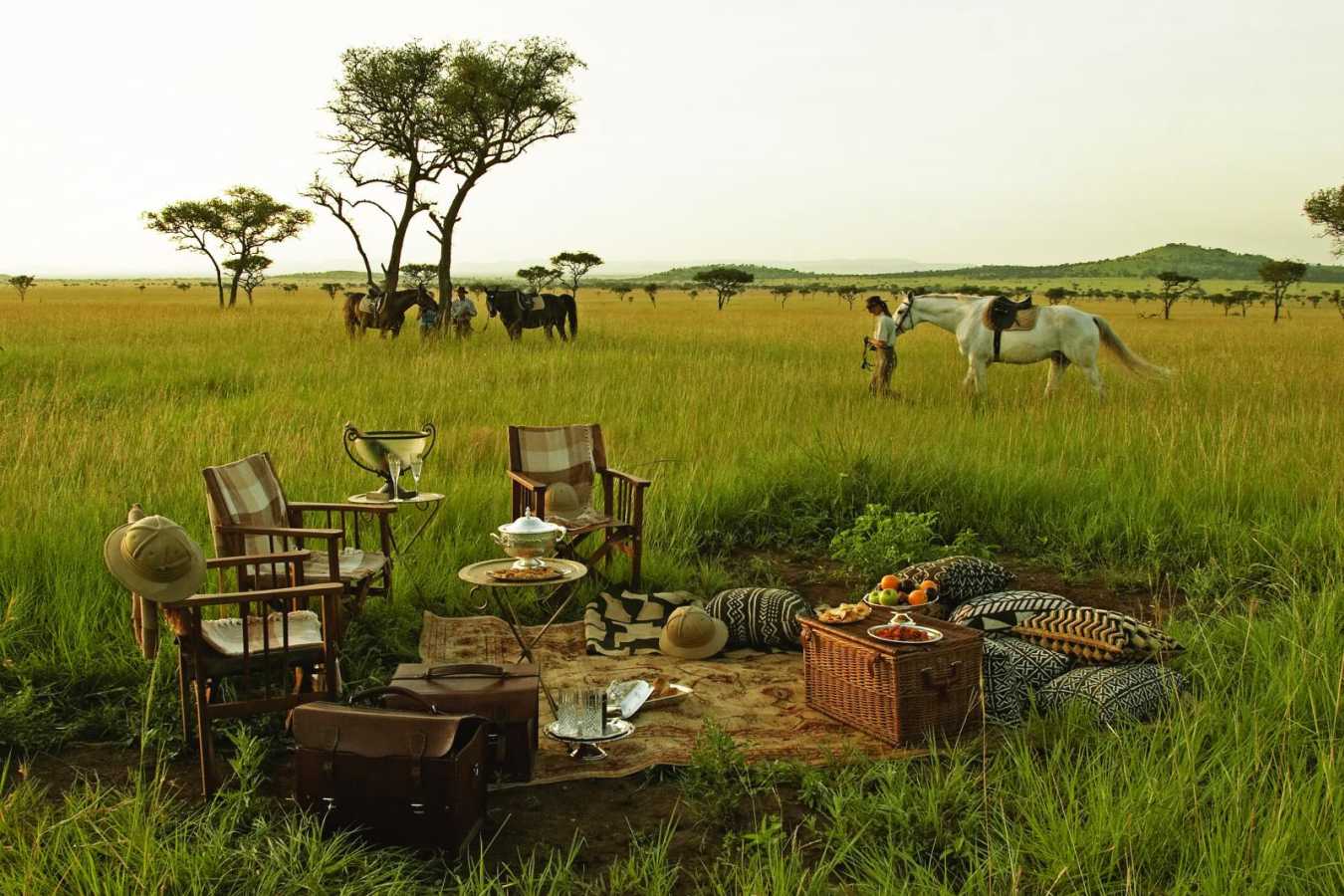 Picnic from Faru Faru Lodge  - Scott Dunn's Flagship Tanzanian Experience