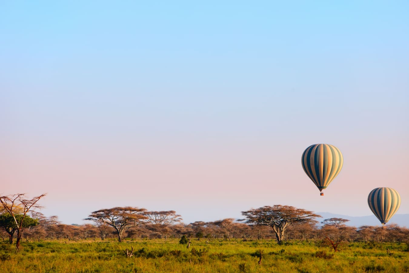Ruaha hot air balloon