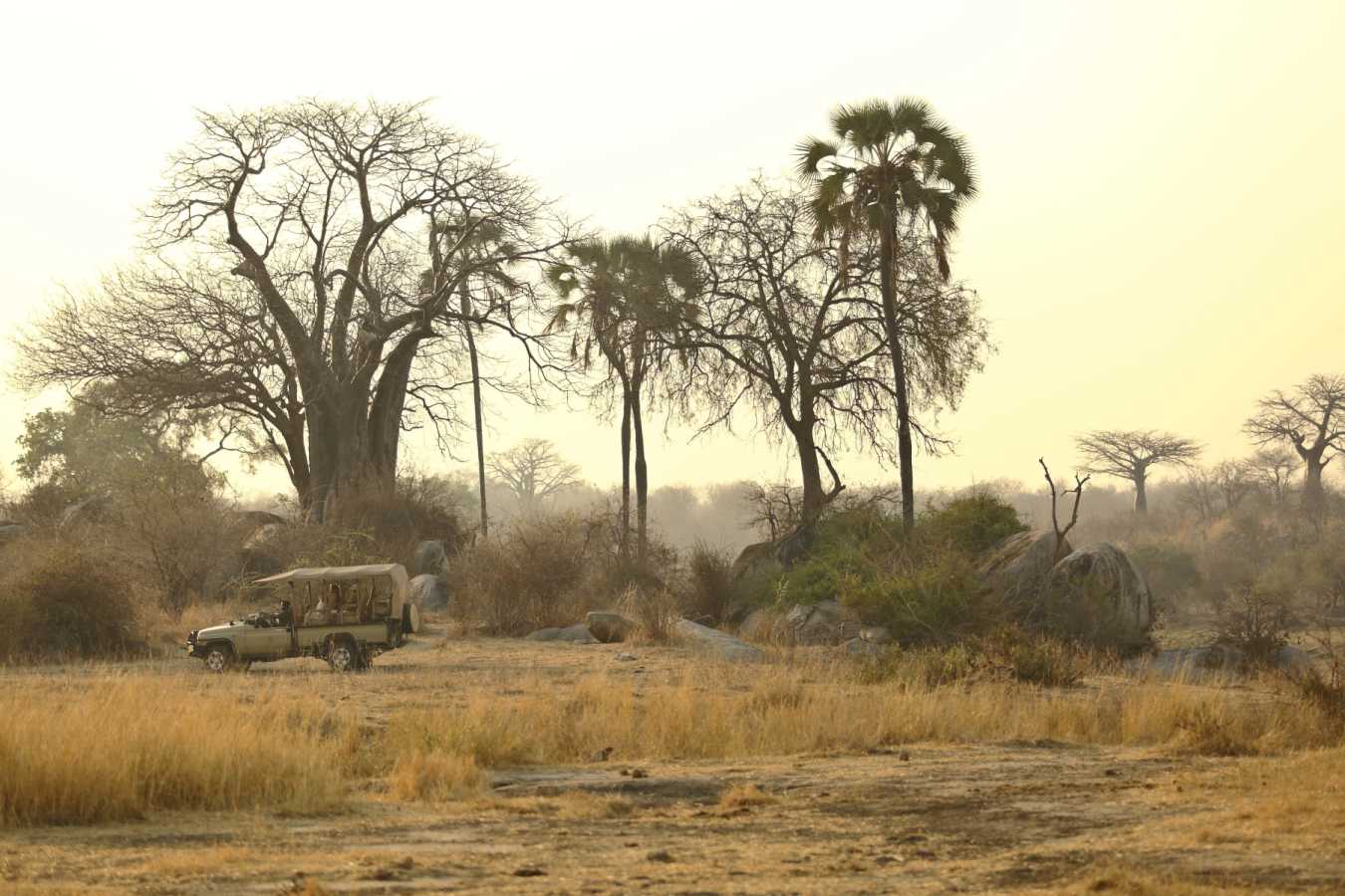 Game Drives