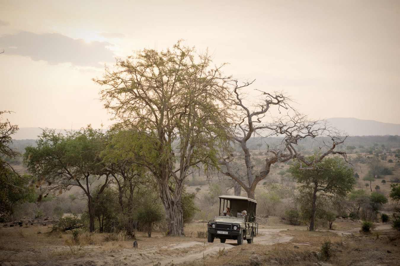 Safari in the Selous